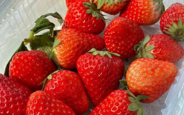 Suzhou Hemu Homestay