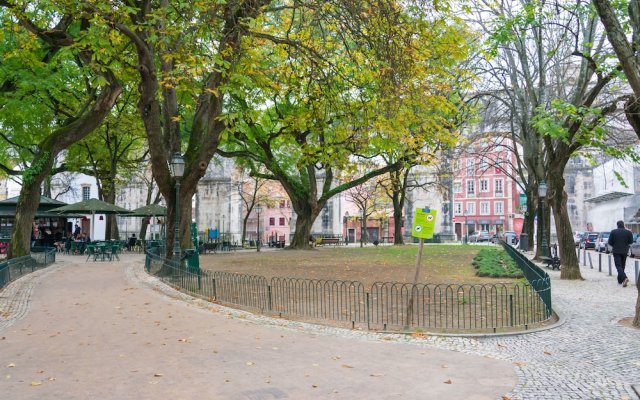 The Mulberry Tree Lisbon Hostel