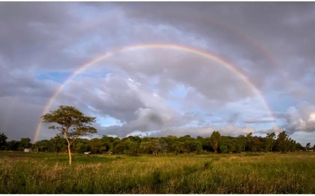 Nature on the HIll