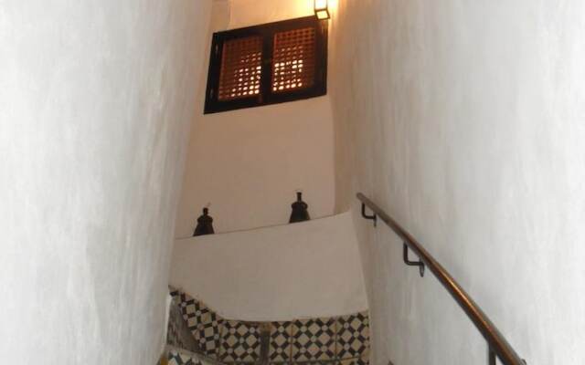 Riad Tiziri