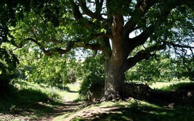 The Cottage Abbotsbury
