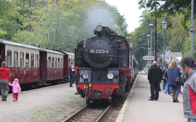 Simplistic Apartment in Kühlungsborn near Beach