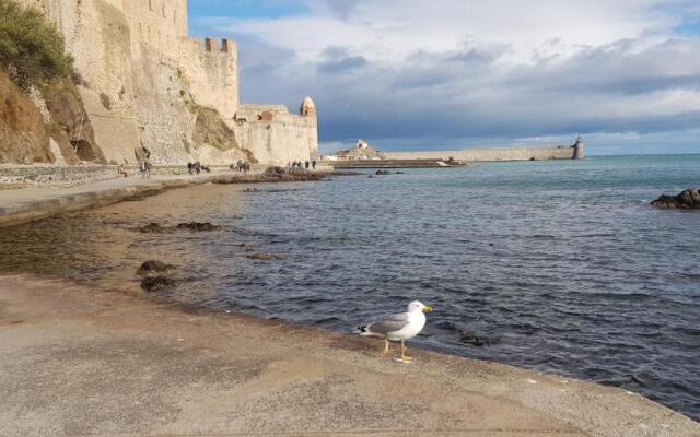 appart central et son parking privatif gratuit