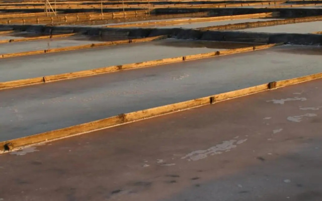 Aveiro House - Alojamento Local