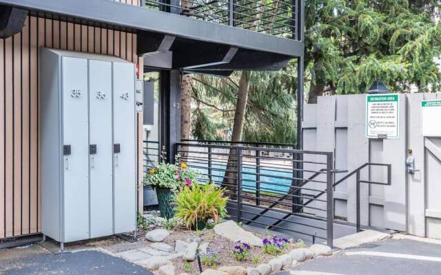 Chateau Roaring Fork Condo 31