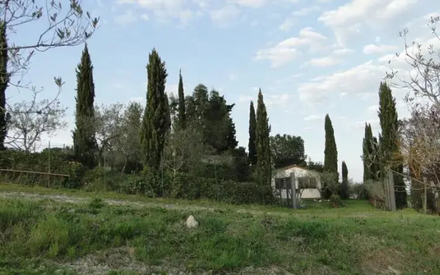 Il pollice verde