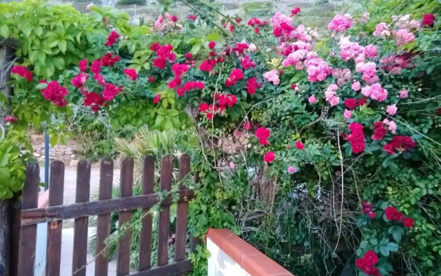 Holiday home via antonio Gramschi