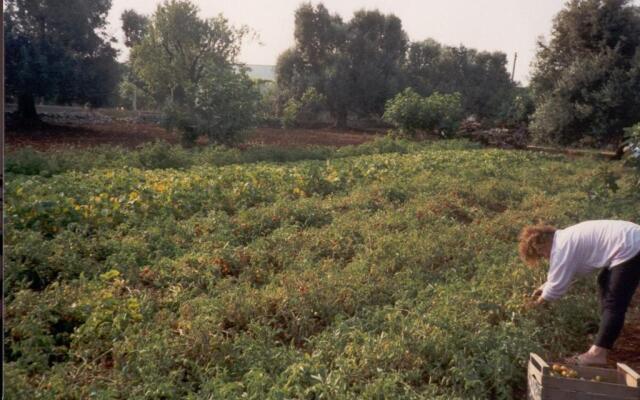 Villa Conte in Salento