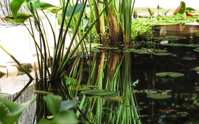 Verde Morada Hotel Encuentro