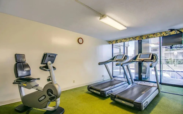 Aqua Palms Condo with City View