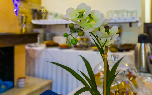Epavlis Boutique Suites