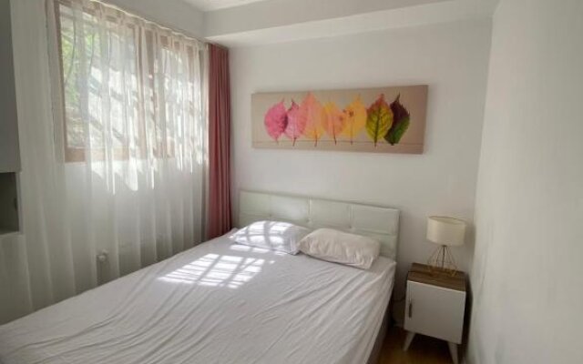 Two bedroom apartment in the center of Istanbul