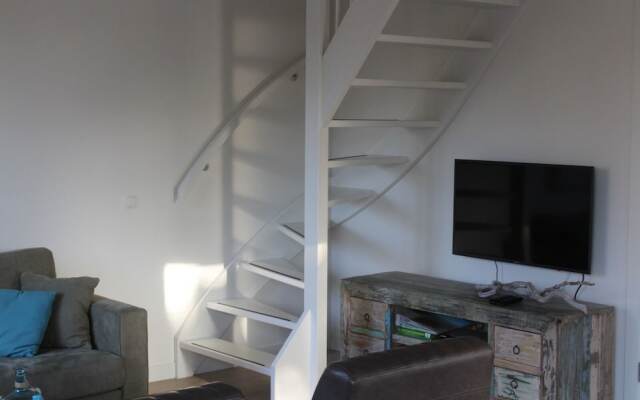 Duinroos Egmond nr 16