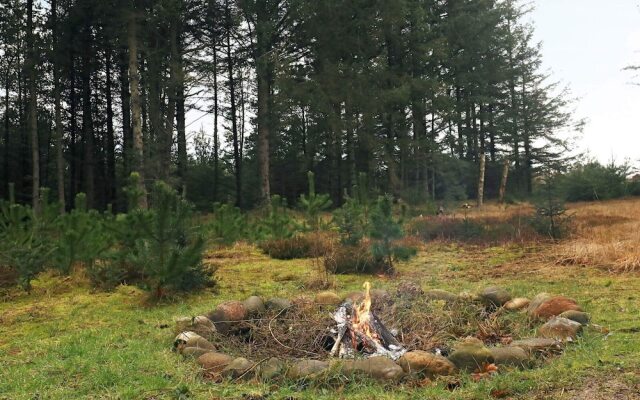 5 Person Holiday Home in Fjerritslev