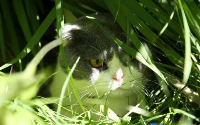 Xishuangbanna Jianye Holiday (Gasa Airport Branch)