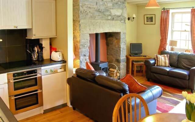 Carreg Gleision