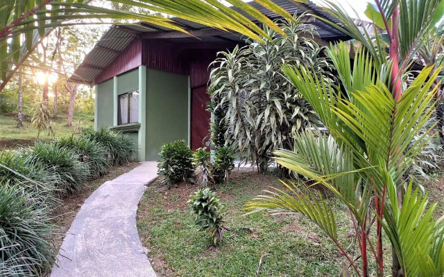 Rio Celeste Nature View