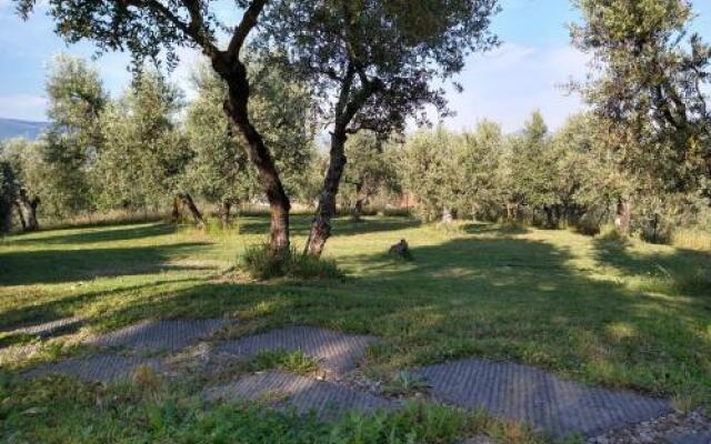 Olivia Bed And Breakfast