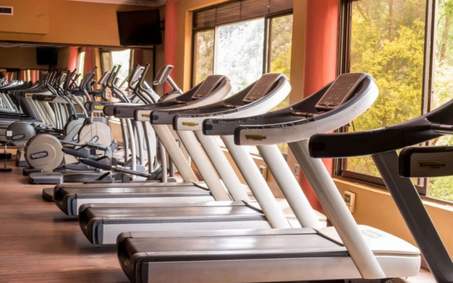 Studio Suite in the Royal Suites Hotel