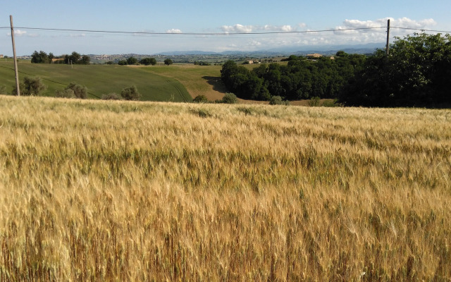 CIVETTA-Wohnung-kleines-Nest