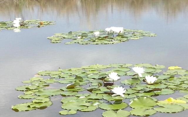 Locanda dei Melograni