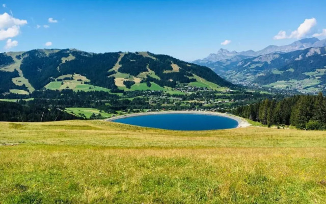 Stylish Chalet in Charming Megeve