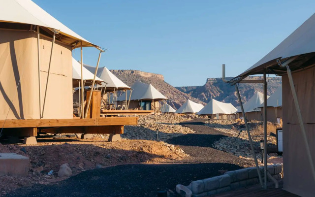 Zion Wildflower, BW Premier Collection