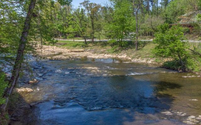 Stream On! Cedar Lodge 201