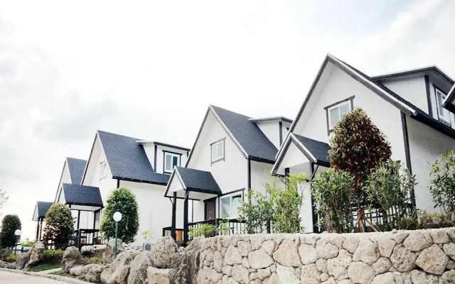 zainvill pension
