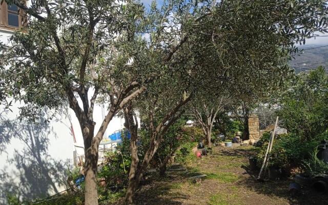 Villa Athina 3
