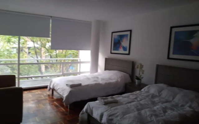 Modern Masaryk apartment 3BR in Polanco