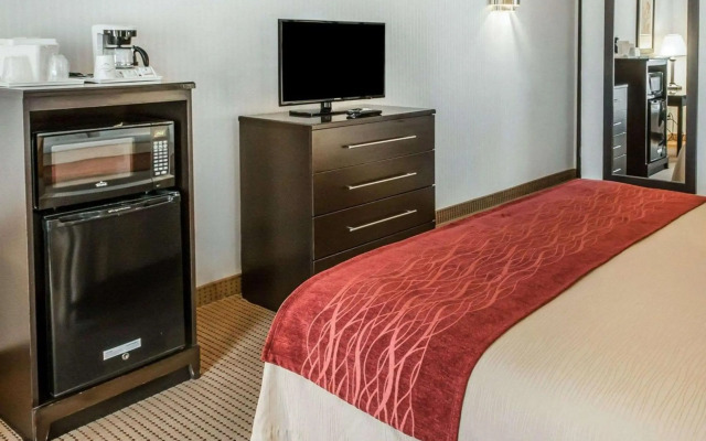Quality Inn & Suites Farmington