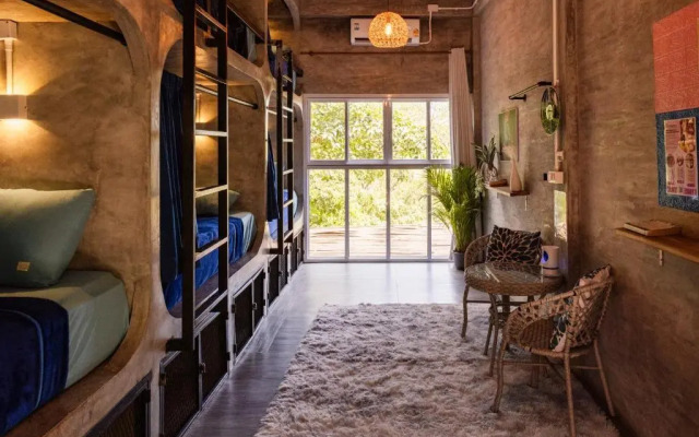 Wonderland Jungle Hostel