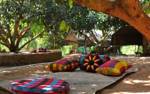Camp Hasthi