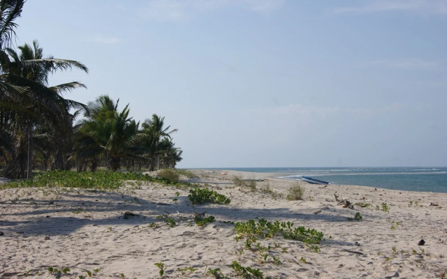 Pura Vida Lodge