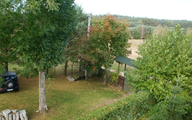 Samotnia pod Zelaznym Koniem