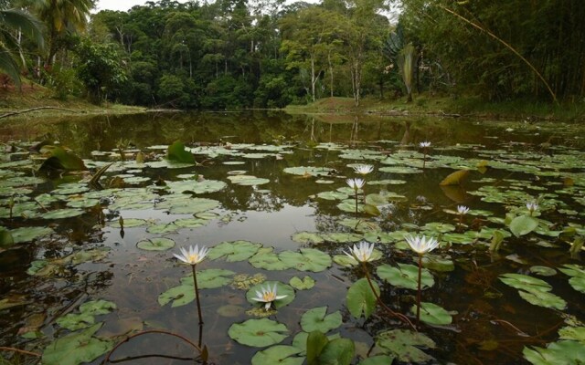 La Laguna del Lagarto Eco-Lodge