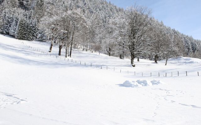 Cosy Holiday Home In Salzburg With Garden And Mountain Views