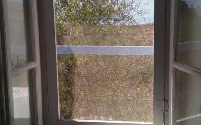 The large bougainvillea house