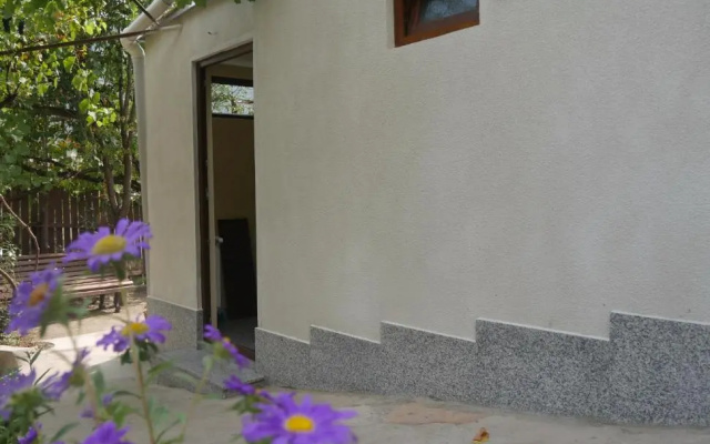 Luxury Apartment at Pirosmani 22 in central Borjomi