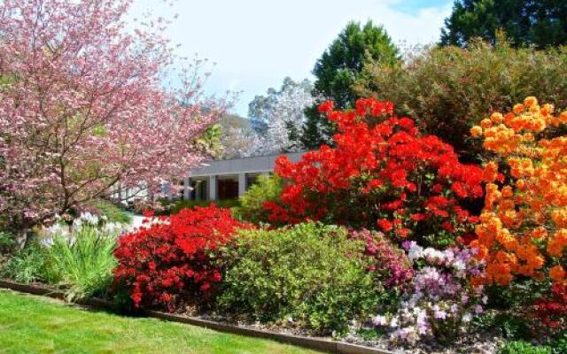 Grevillea Gardens