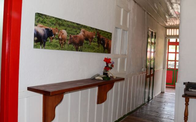 Ecohotel Pinohermoso