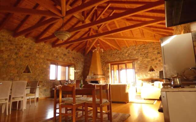 Luxurious Mansion in olive grove & view to Mystras