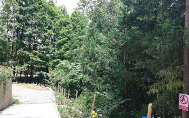 Shizhulinyoujubishushanzhuang