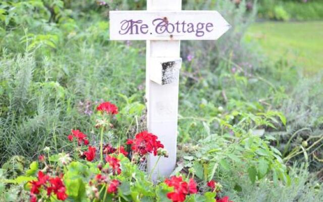 Rosevillehouse Bed & Breakfast