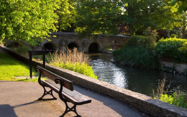 The Lazy Cow - Salisbury