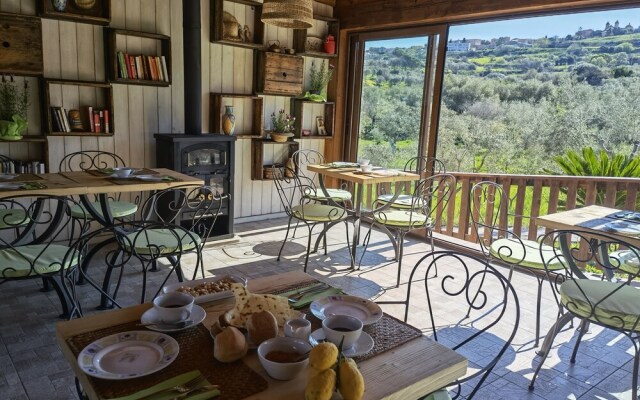 la corte degli ulivi