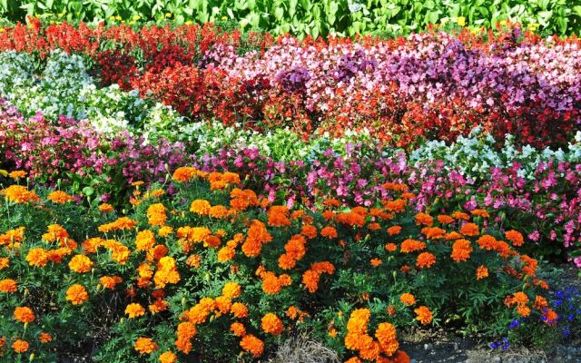 Shibetsu Inn Suigetsu