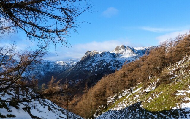 Elm - Woodland Cottages