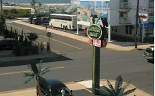 American Safari Motel